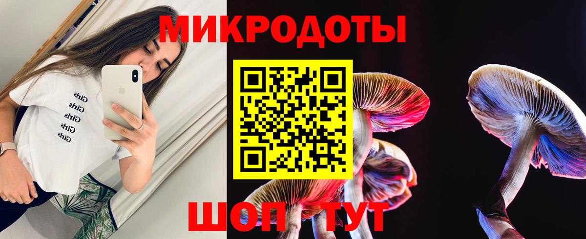 Сосновый Бор  Псилоцибиновые грибы Psilocybine cubensis  цены   Псилоцибиновые грибы Psilocybe  Вход с VPN 