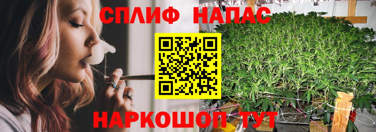 Бошки марихуана MAZAR Сосновый Бор